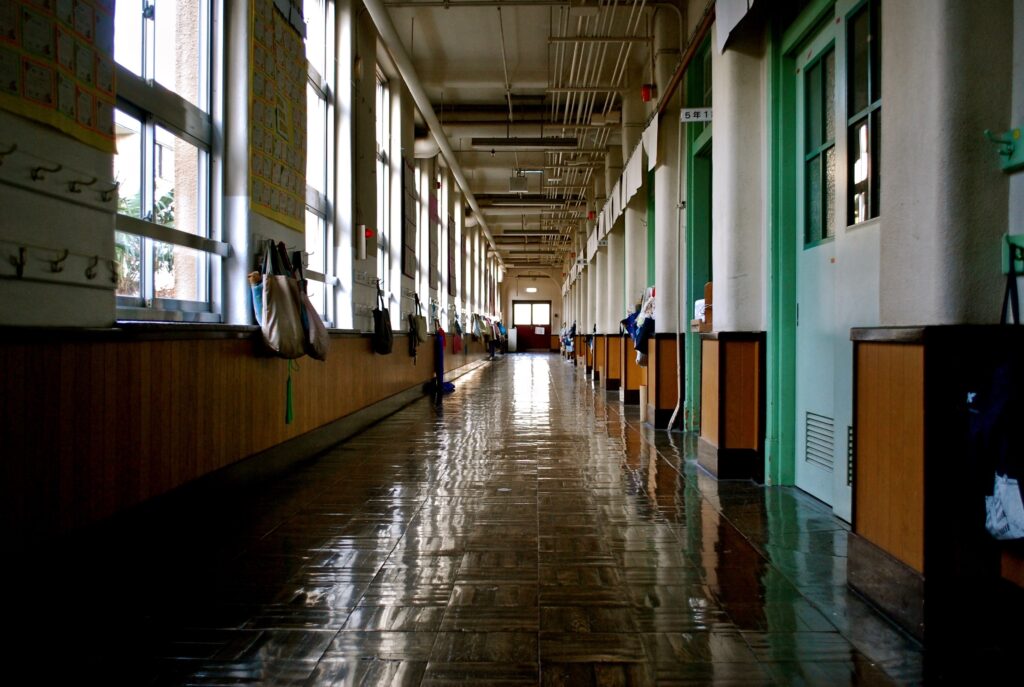 scuola superiore
