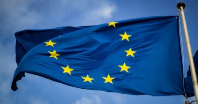Bandiera dell'Europa