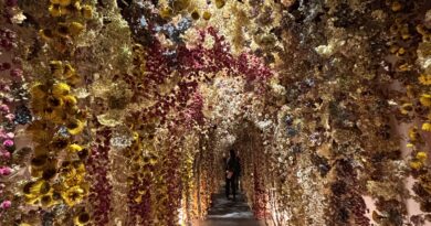 mostra Flowers, chiostro del Bramante