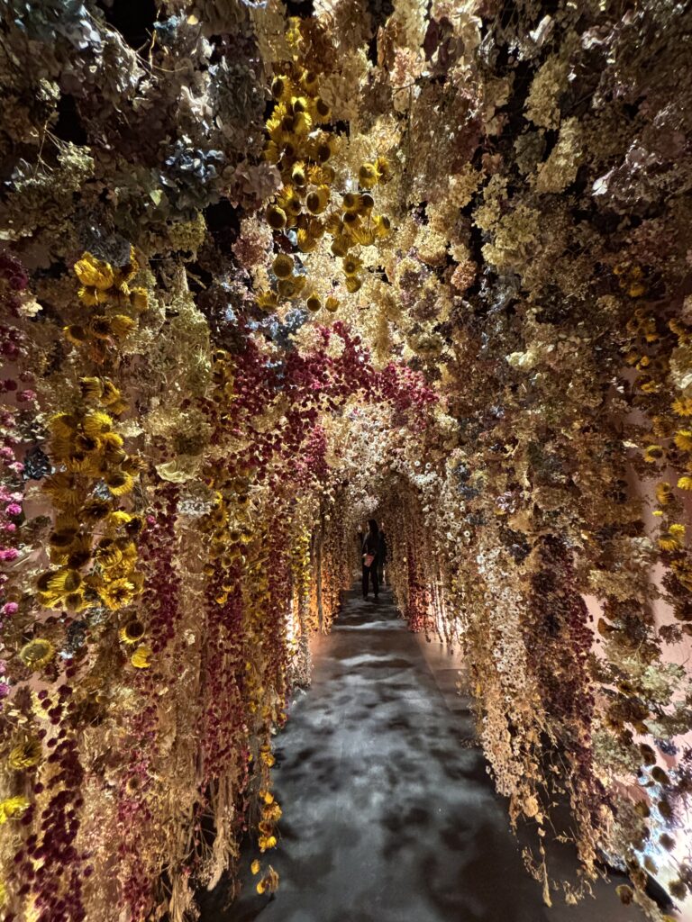 mostra Flowers, chiostro del Bramante