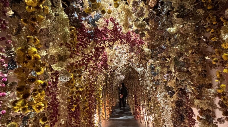 mostra Flowers, chiostro del Bramante